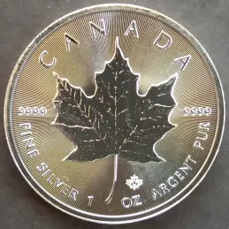 2019 1 Oz Canada Maple Leaf Reverse 2019 1 Oz Canada Maple Leaf Reverse