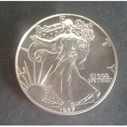 1987 1 Oz American Silver Eagle Obverse
