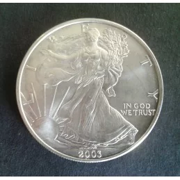 2003 1 Oz American Silver Eagle Obverse