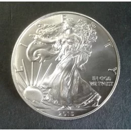 2015 1 Oz American Silver Eagle Obverse