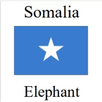 Somalia Elephant government issued silver bullion coins